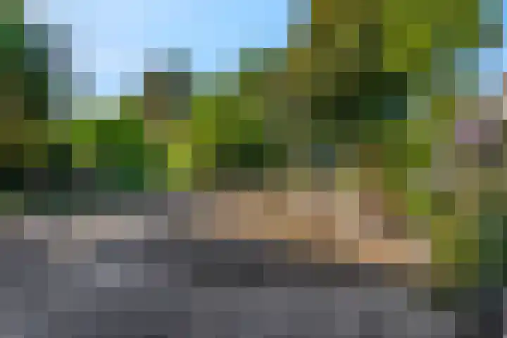 Platanenlaan 32 Rhenen thumbnail 29