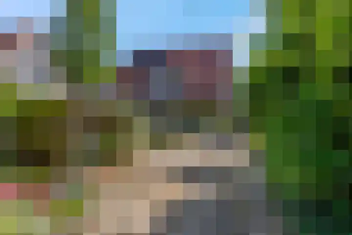 Platanenlaan 32 Rhenen thumbnail 31