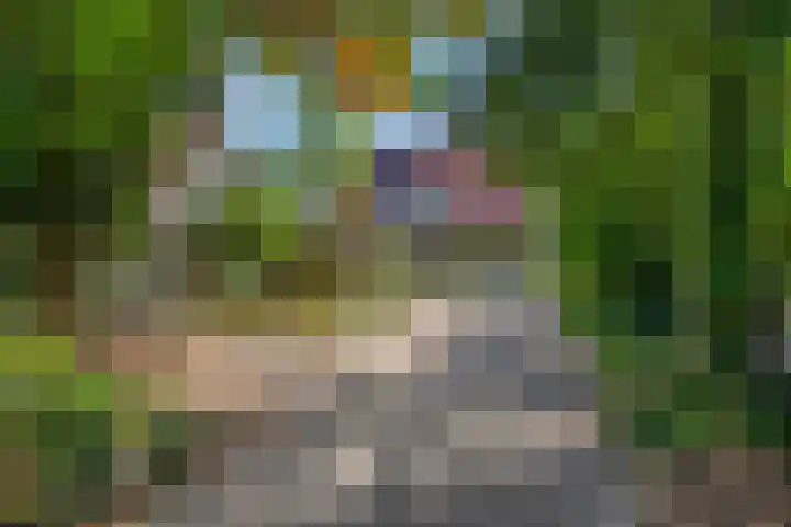 Platanenlaan 32 Rhenen thumbnail 32