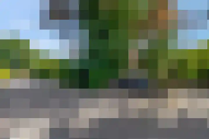 Platanenlaan 32 Rhenen thumbnail 33