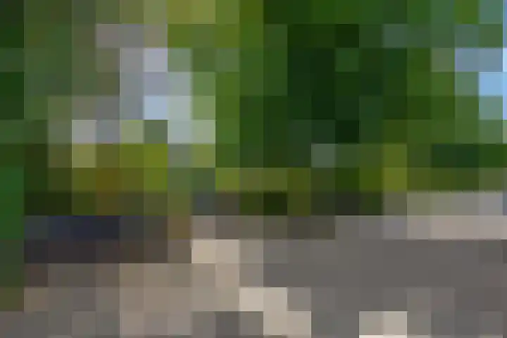 Platanenlaan 32 Rhenen thumbnail 34