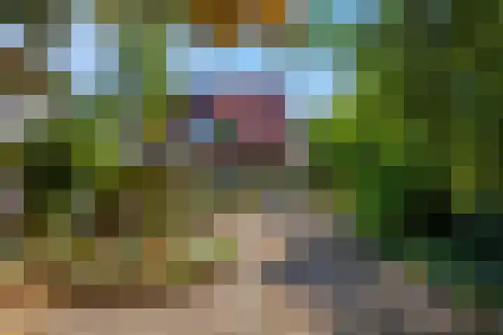 Platanenlaan 32 Rhenen thumbnail 42