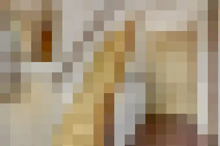 Platanenlaan 32 Rhenen thumbnail 5