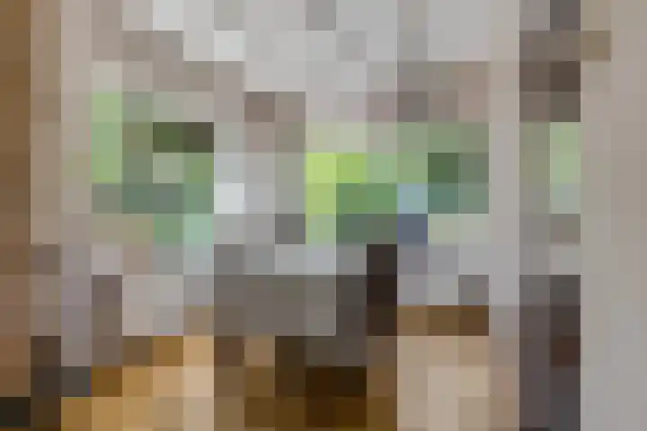 Platanenlaan 32 Rhenen thumbnail 6