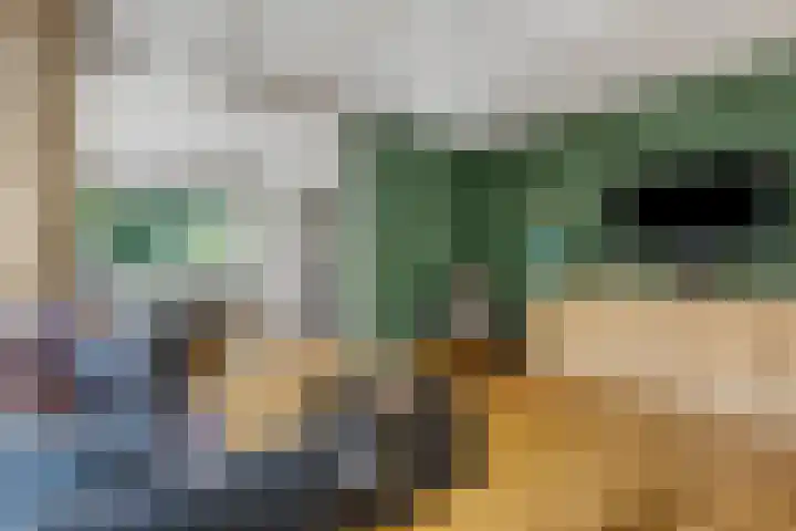 Platanenlaan 32 Rhenen thumbnail 9