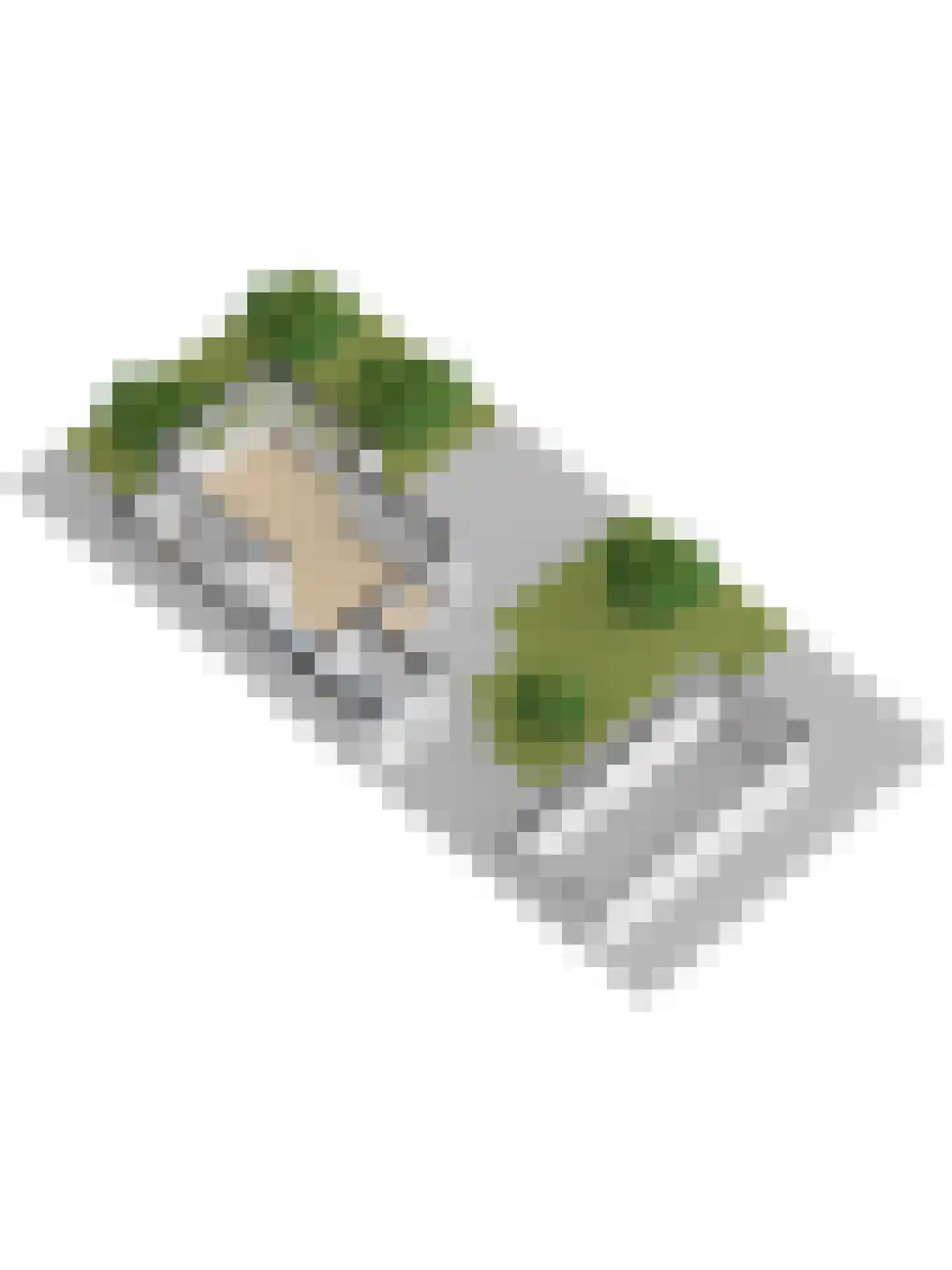 Platanenlaan 43 Grootebroek thumbnail 47