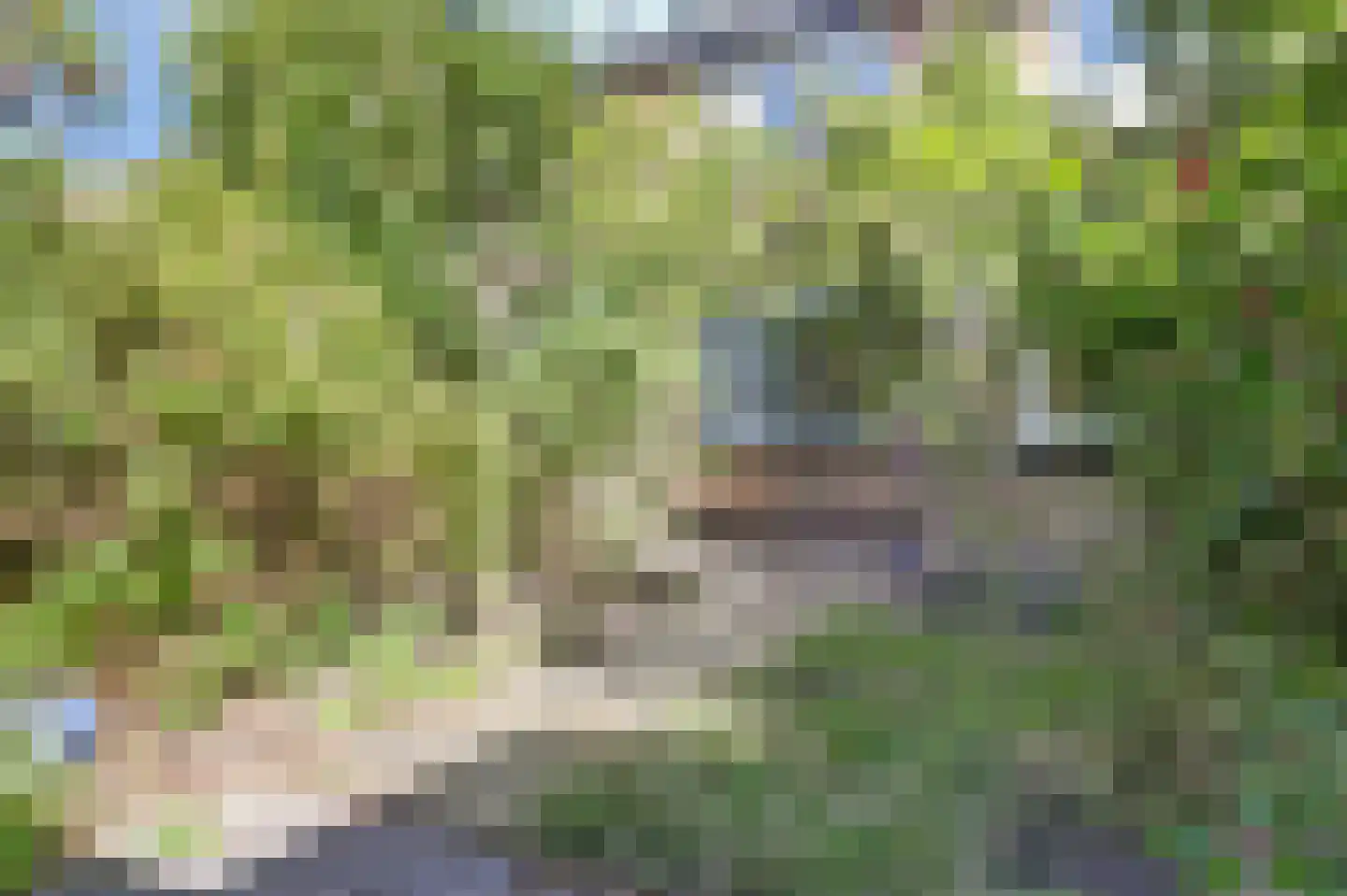 Platanenlaan 45 Grootebroek thumbnail 29