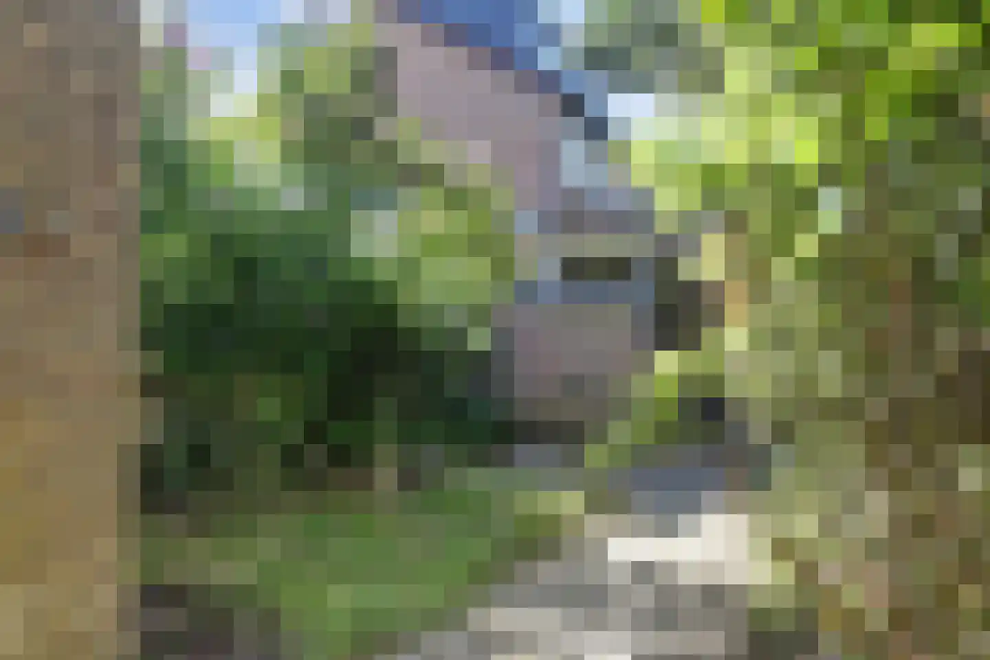 Platanenlaan 45 Grootebroek thumbnail 34