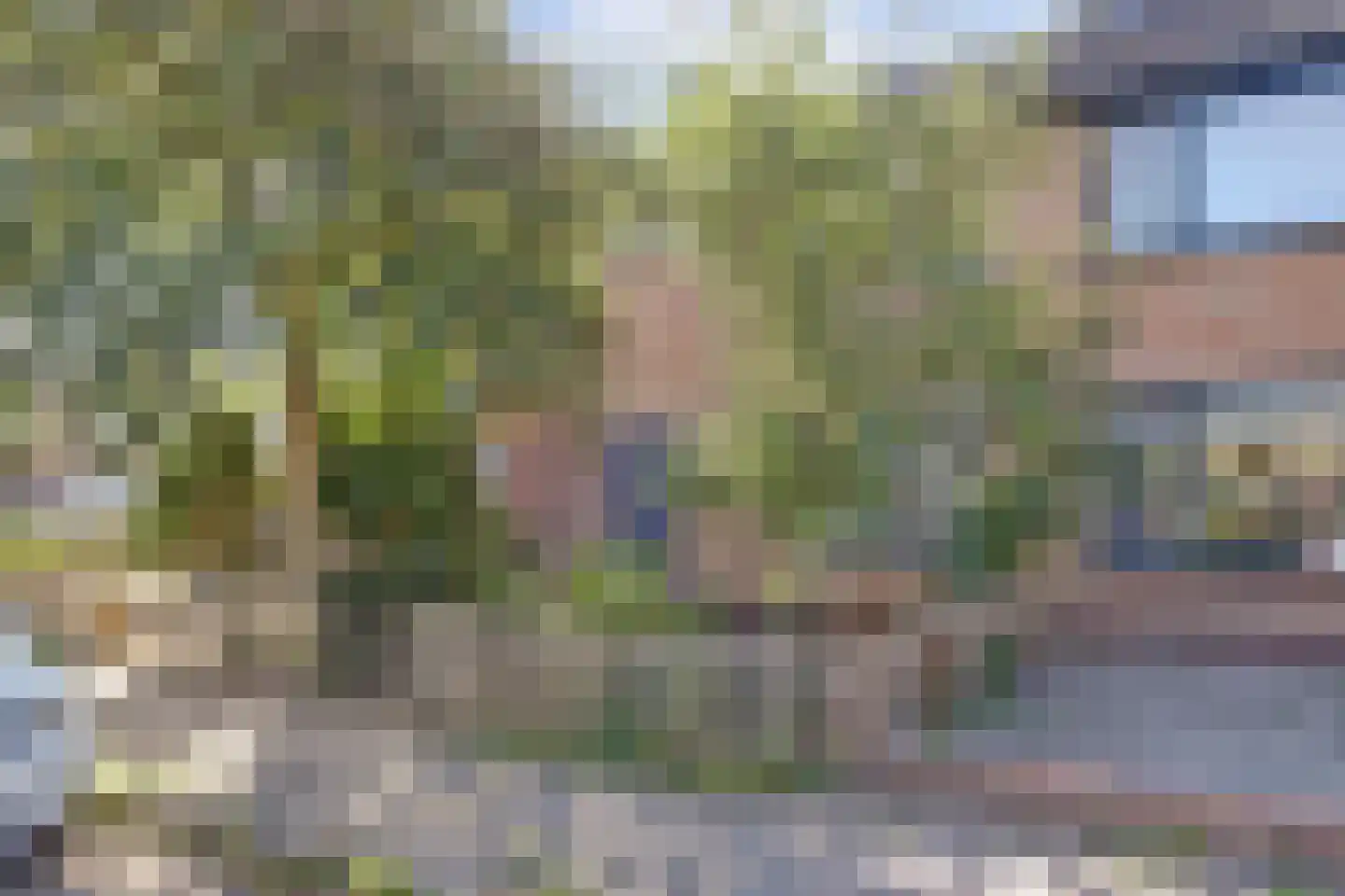 Platanenlaan 45 Grootebroek thumbnail 4