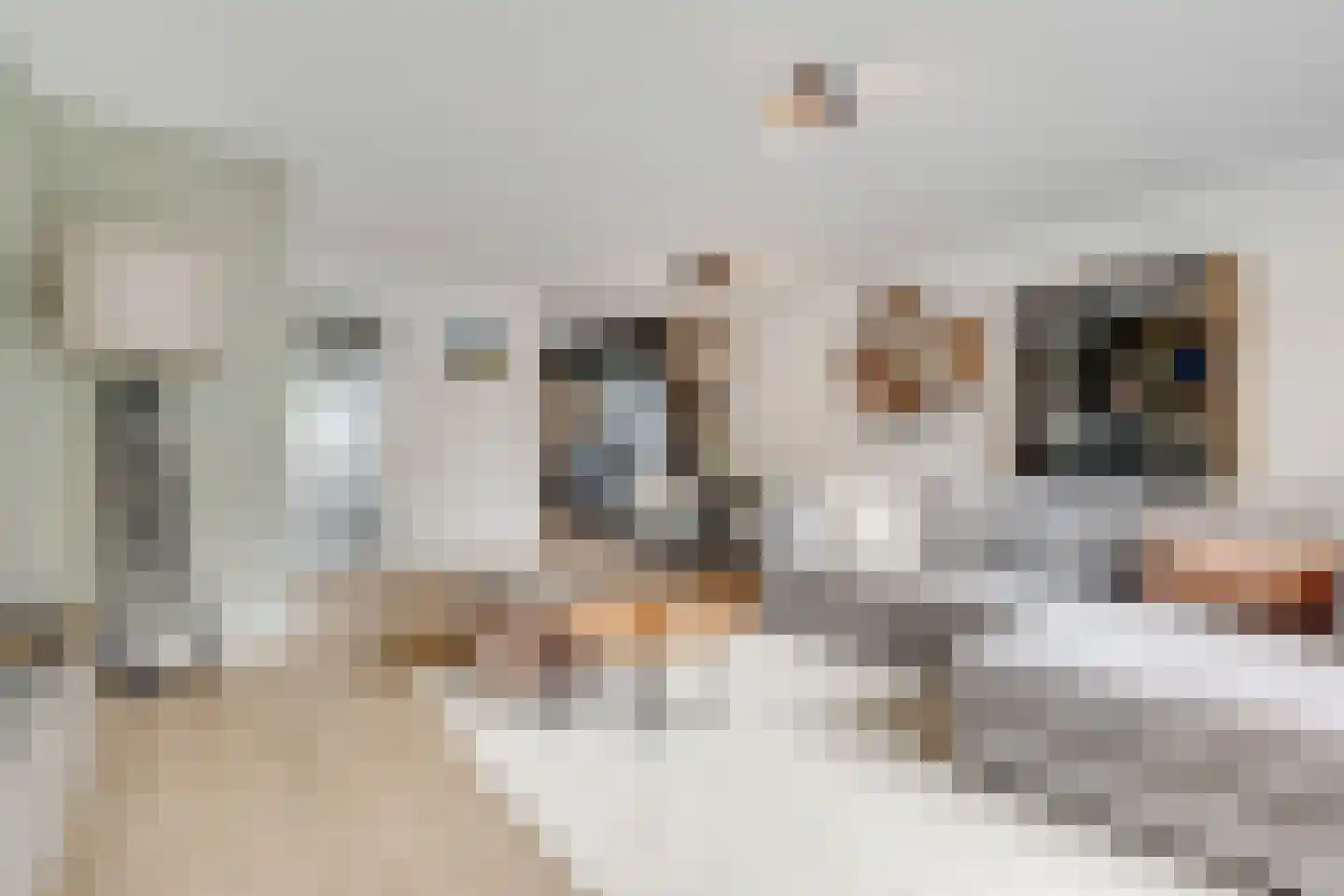 Platanenlaan 50 Nederhorst den Berg thumbnail 10