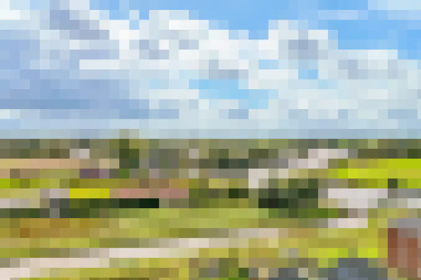 Platanenlaan 50 Nederhorst den Berg thumbnail 34