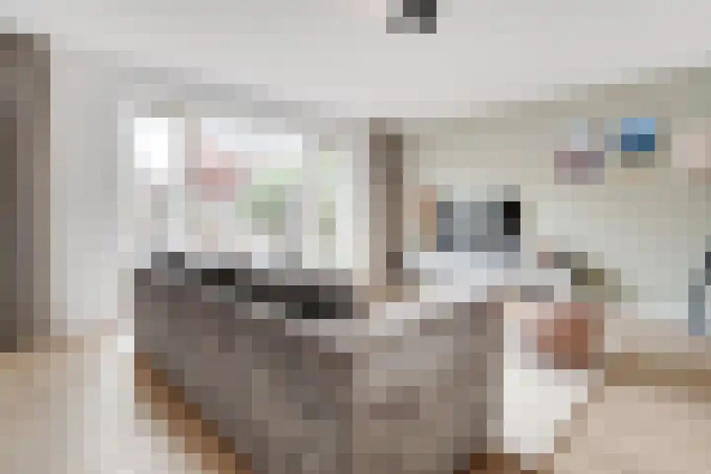 Platanenlaan 50 Nederhorst den Berg thumbnail 8