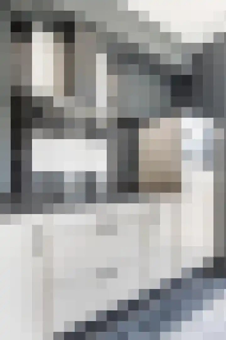 Platanenlaan 52 Renswoude thumbnail 13