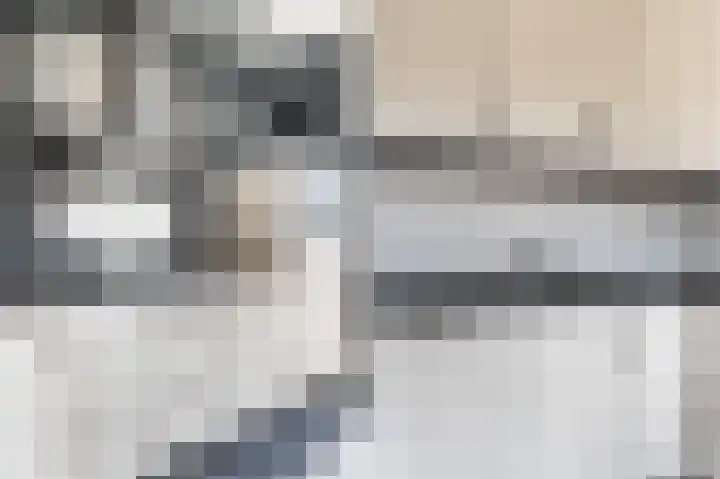 Platanenlaan 52 Renswoude thumbnail 18