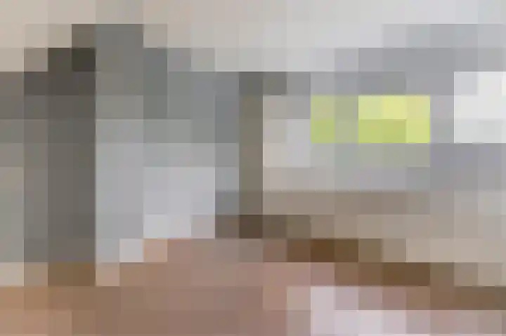 Platanenlaan 52 Renswoude thumbnail 36