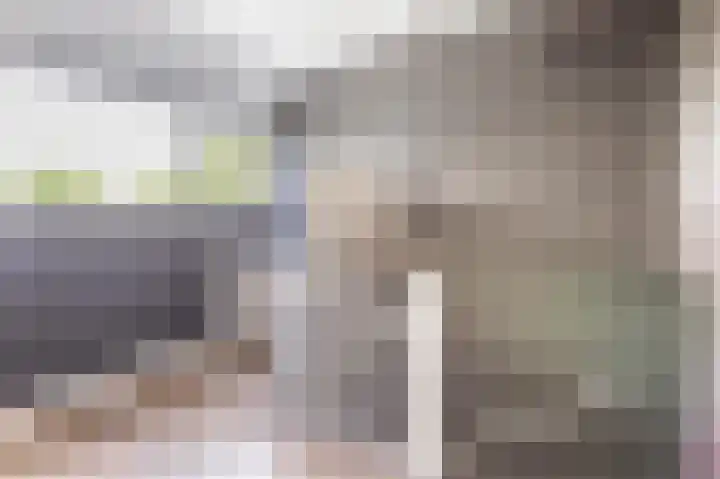 Platanenlaan 52 Renswoude thumbnail 39