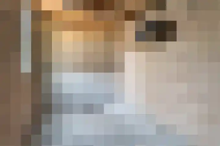 Platanenlaan 52 Renswoude thumbnail 43