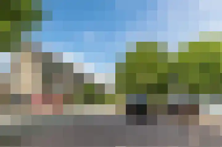 Platanenlaan 52 Renswoude thumbnail 48
