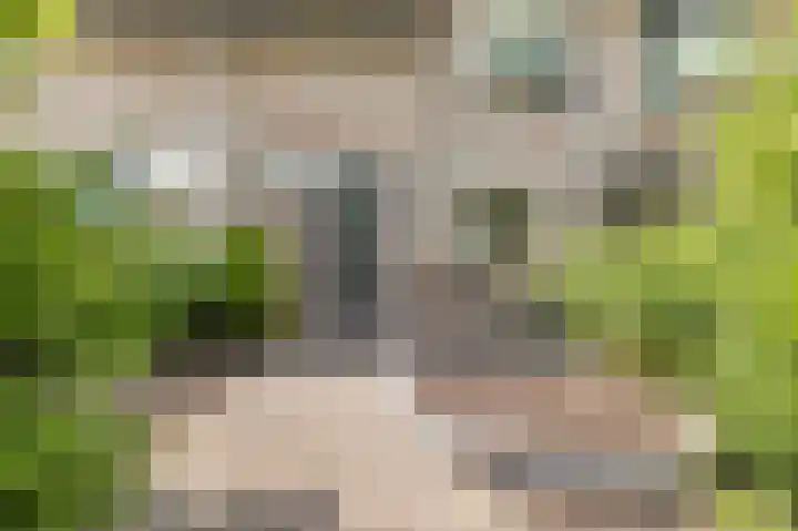 Platanenlaan 52 Renswoude thumbnail 5