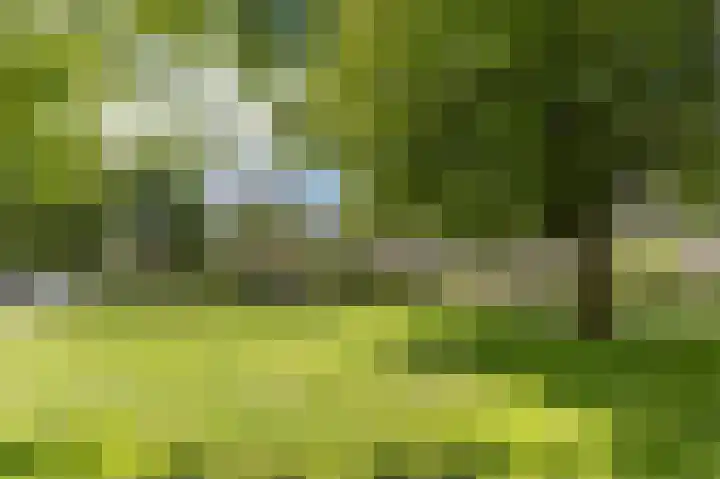Platanenlaan 52 Renswoude thumbnail 50