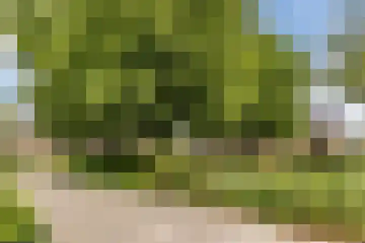 Platanenlaan 52 Renswoude thumbnail 51