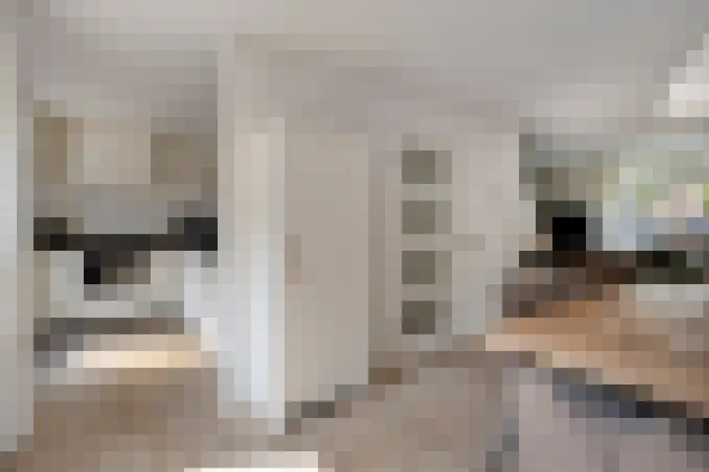 Platanenlaan 56 Renswoude thumbnail 11