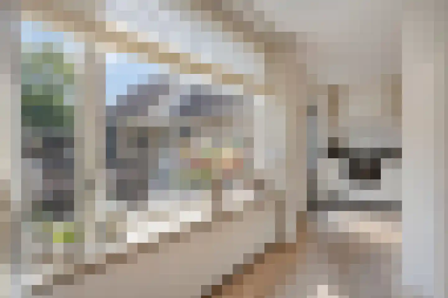 Platanenlaan 56 Renswoude thumbnail 12