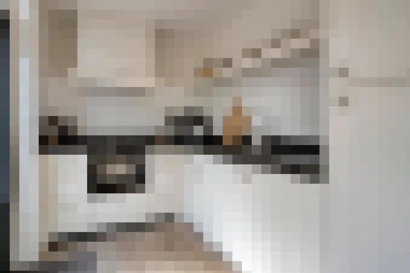 Platanenlaan 56 Renswoude thumbnail 13