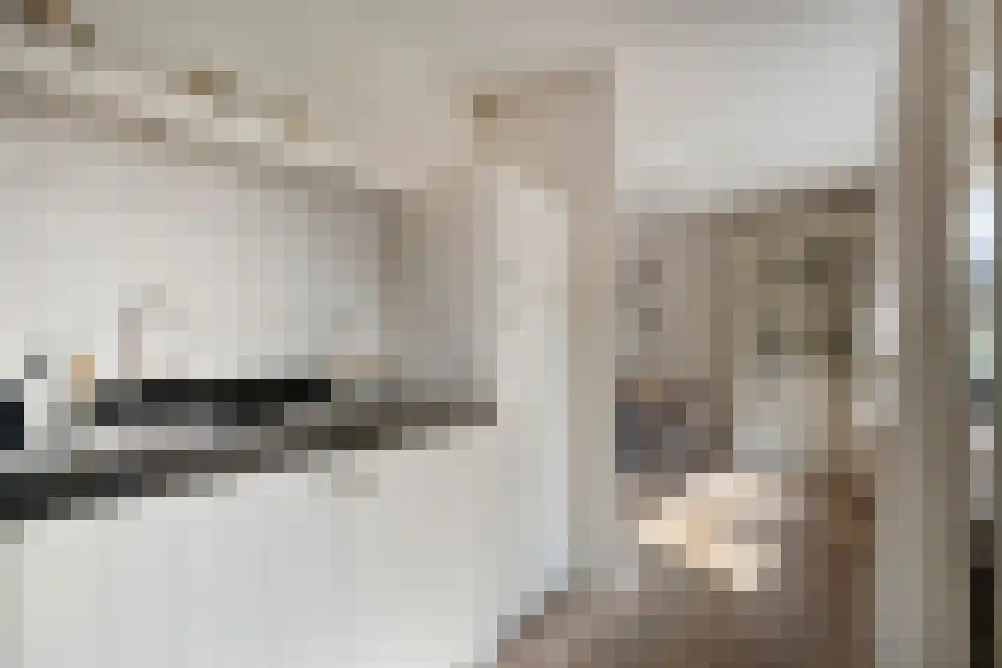 Platanenlaan 56 Renswoude thumbnail 14
