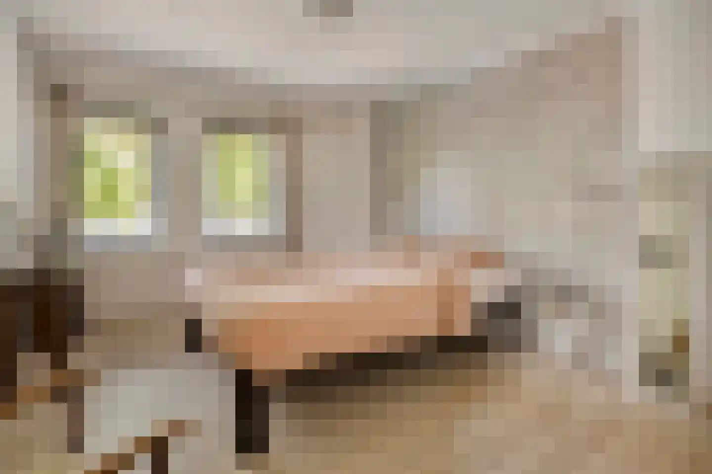Platanenlaan 56 Renswoude thumbnail 17