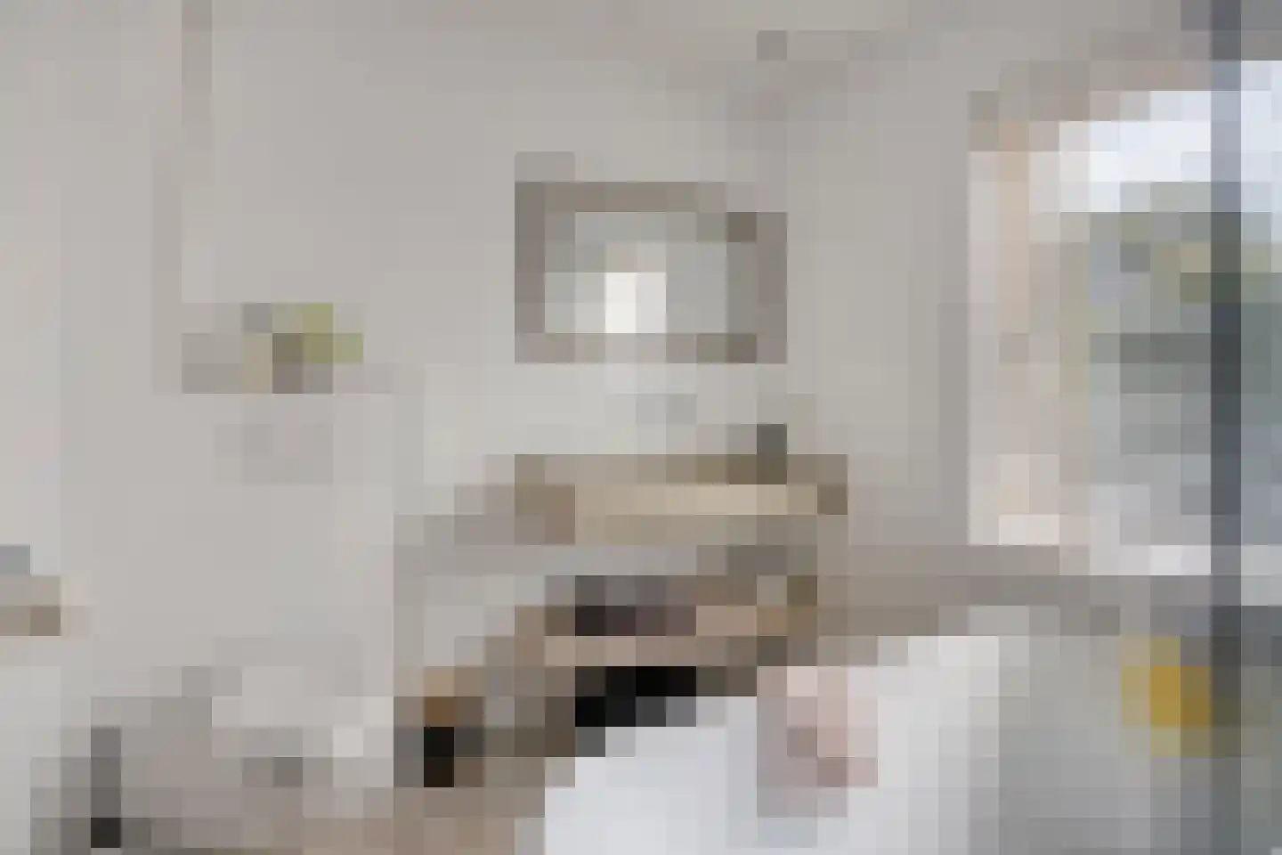 Platanenlaan 56 Renswoude thumbnail 21