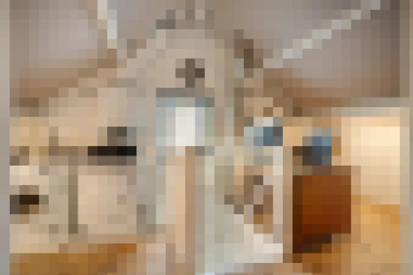 Platanenlaan 56 Renswoude thumbnail 24
