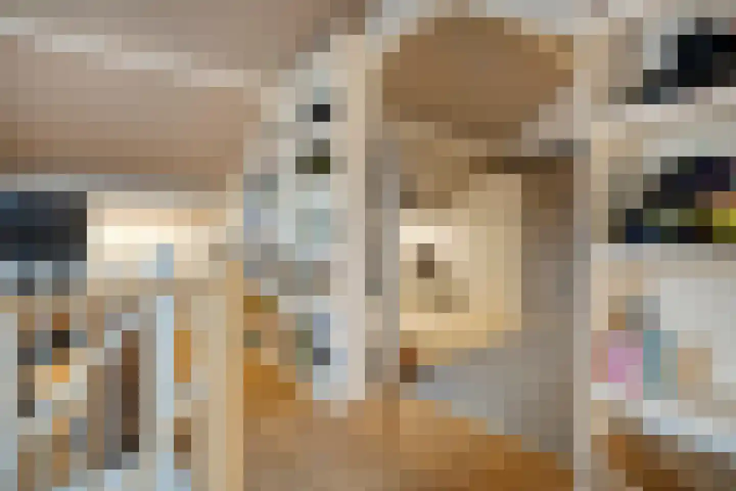 Platanenlaan 56 Renswoude thumbnail 25