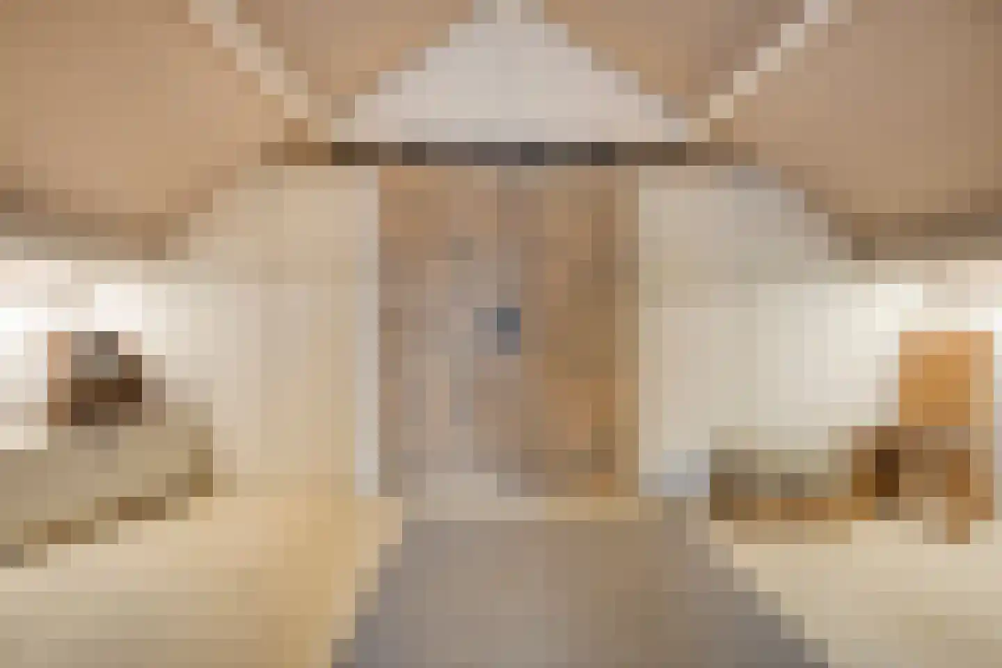 Platanenlaan 56 Renswoude thumbnail 26