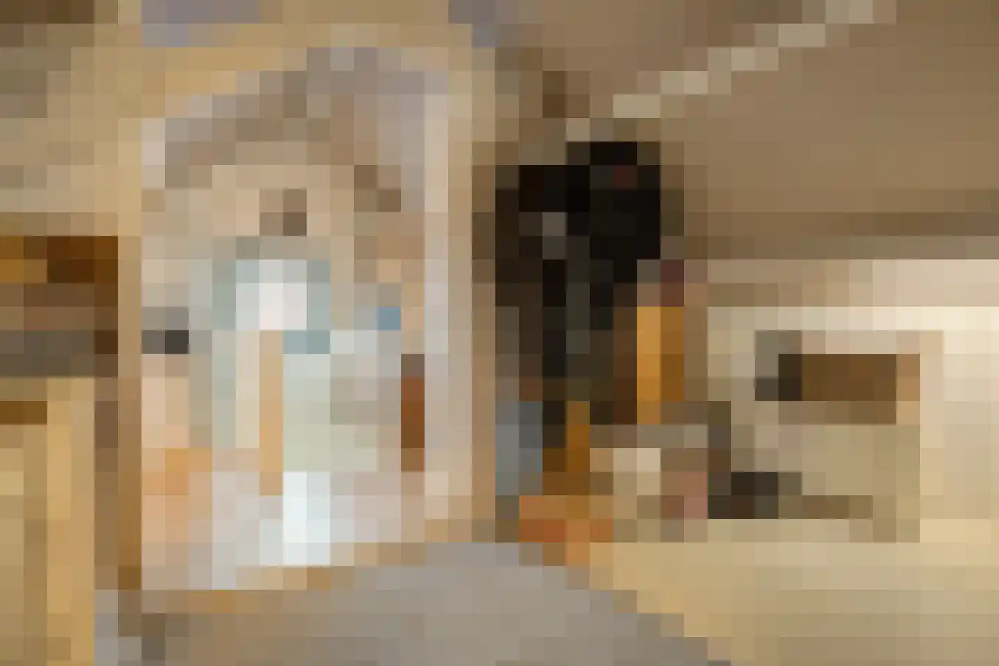 Platanenlaan 56 Renswoude thumbnail 27
