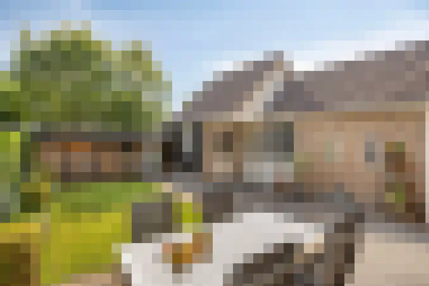Platanenlaan 56 Renswoude thumbnail 28