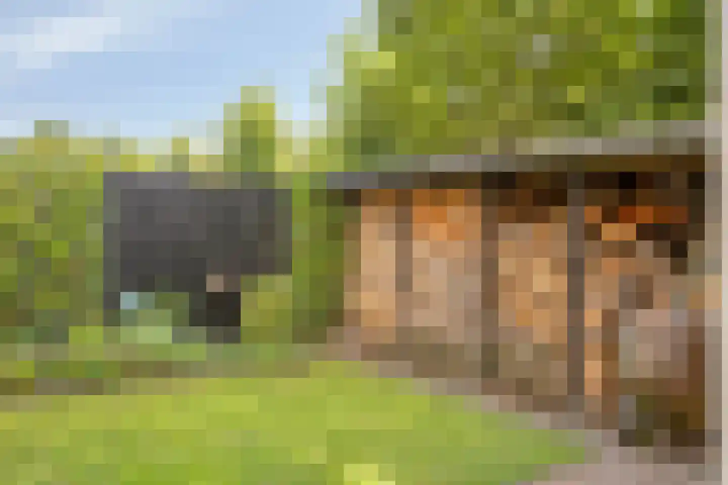 Platanenlaan 56 Renswoude thumbnail 29