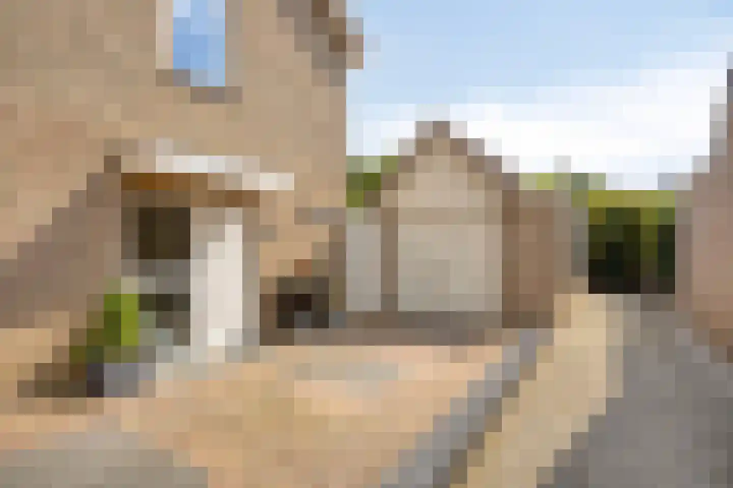 Platanenlaan 56 Renswoude thumbnail 31