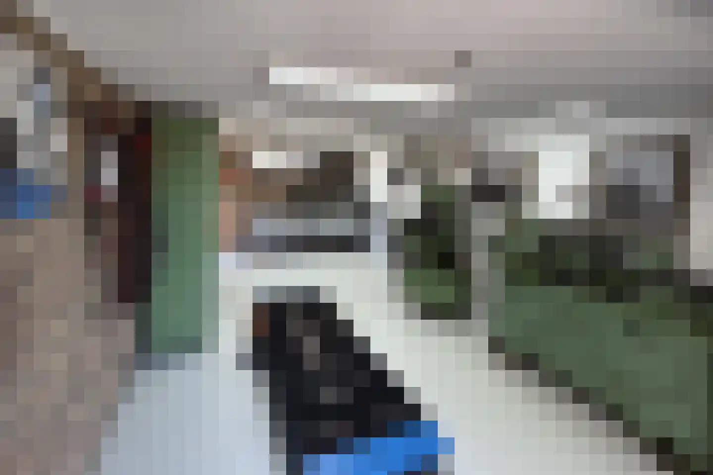 Platanenlaan 56 Renswoude thumbnail 32
