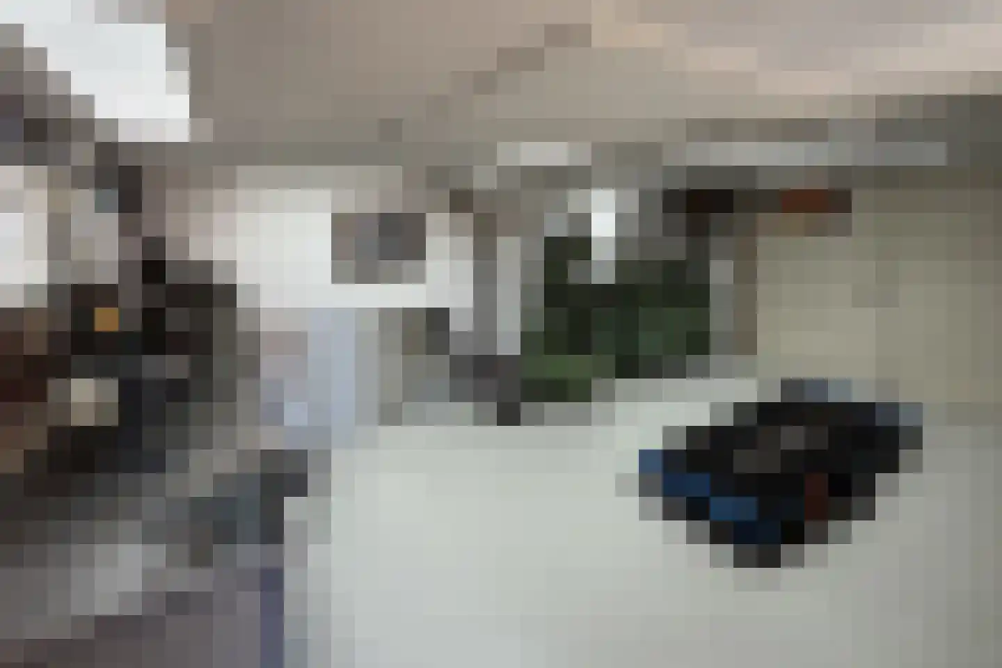 Platanenlaan 56 Renswoude thumbnail 33