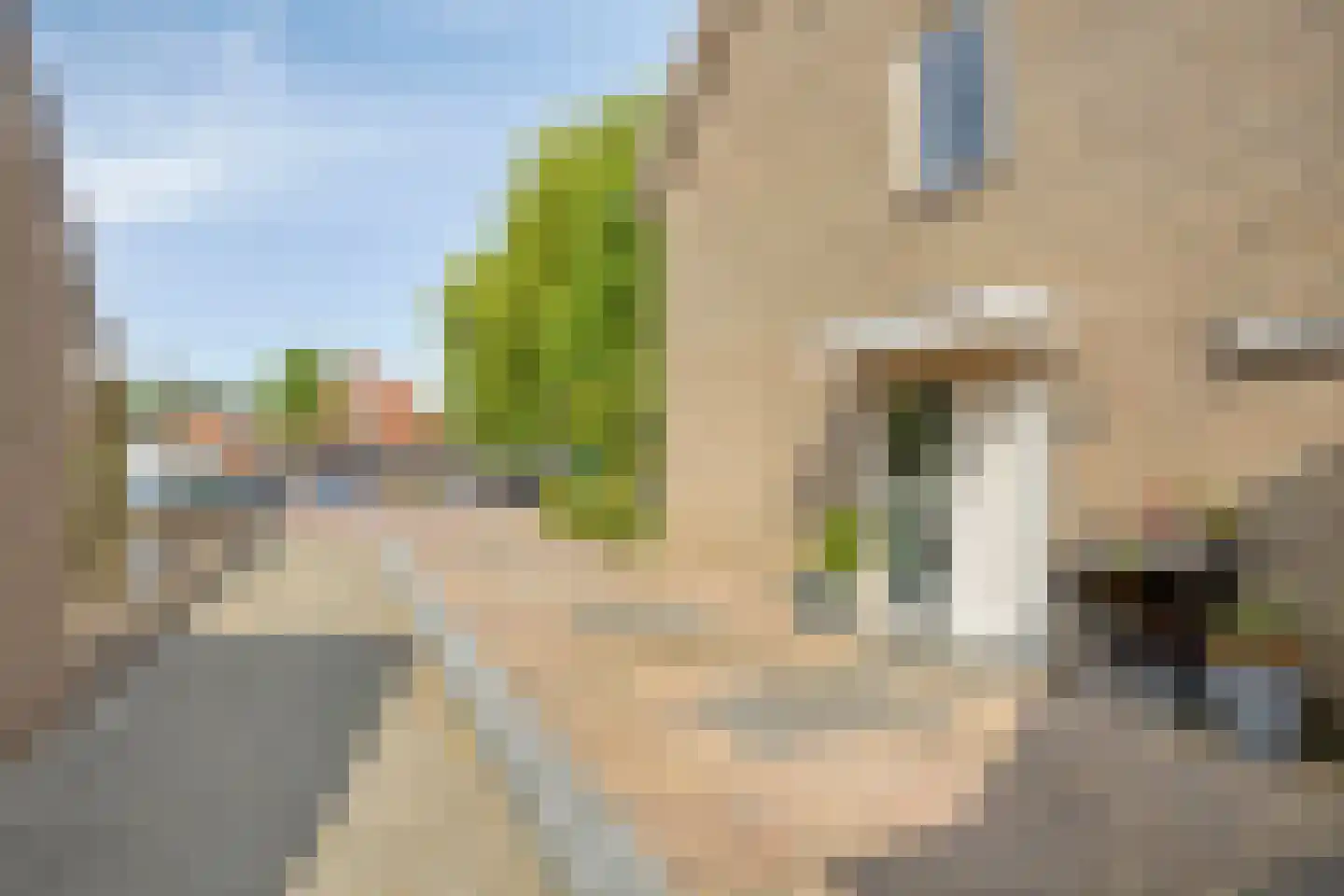 Platanenlaan 56 Renswoude thumbnail 35