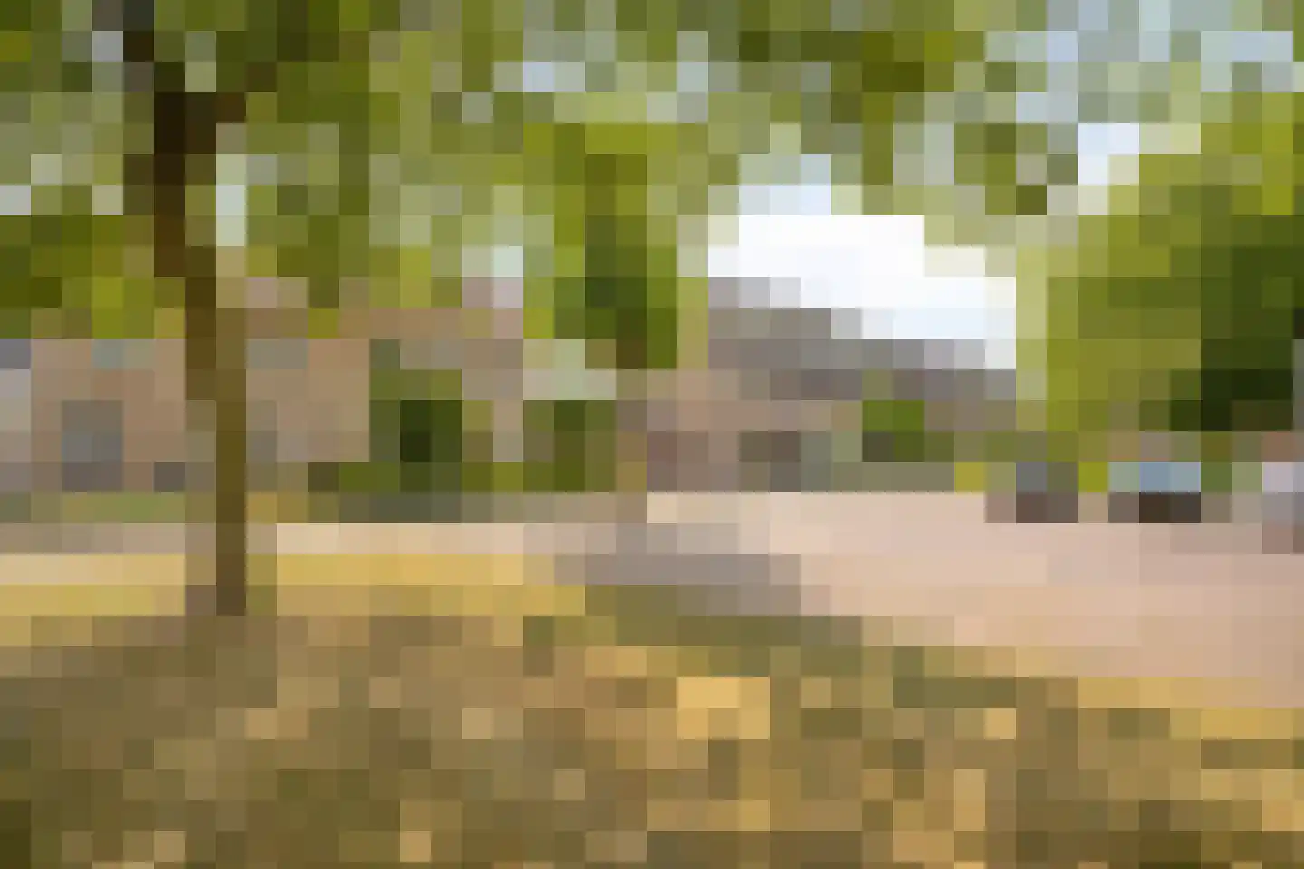 Platanenlaan 56 Renswoude thumbnail 39