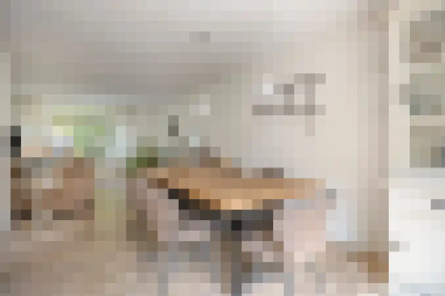 Platanenlaan 56 Renswoude thumbnail 4
