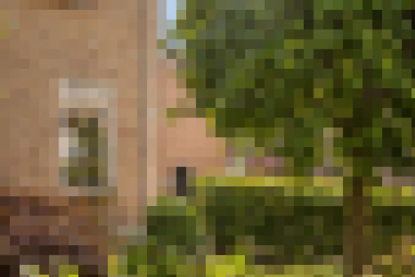 Platanenlaan 56 Renswoude thumbnail 41