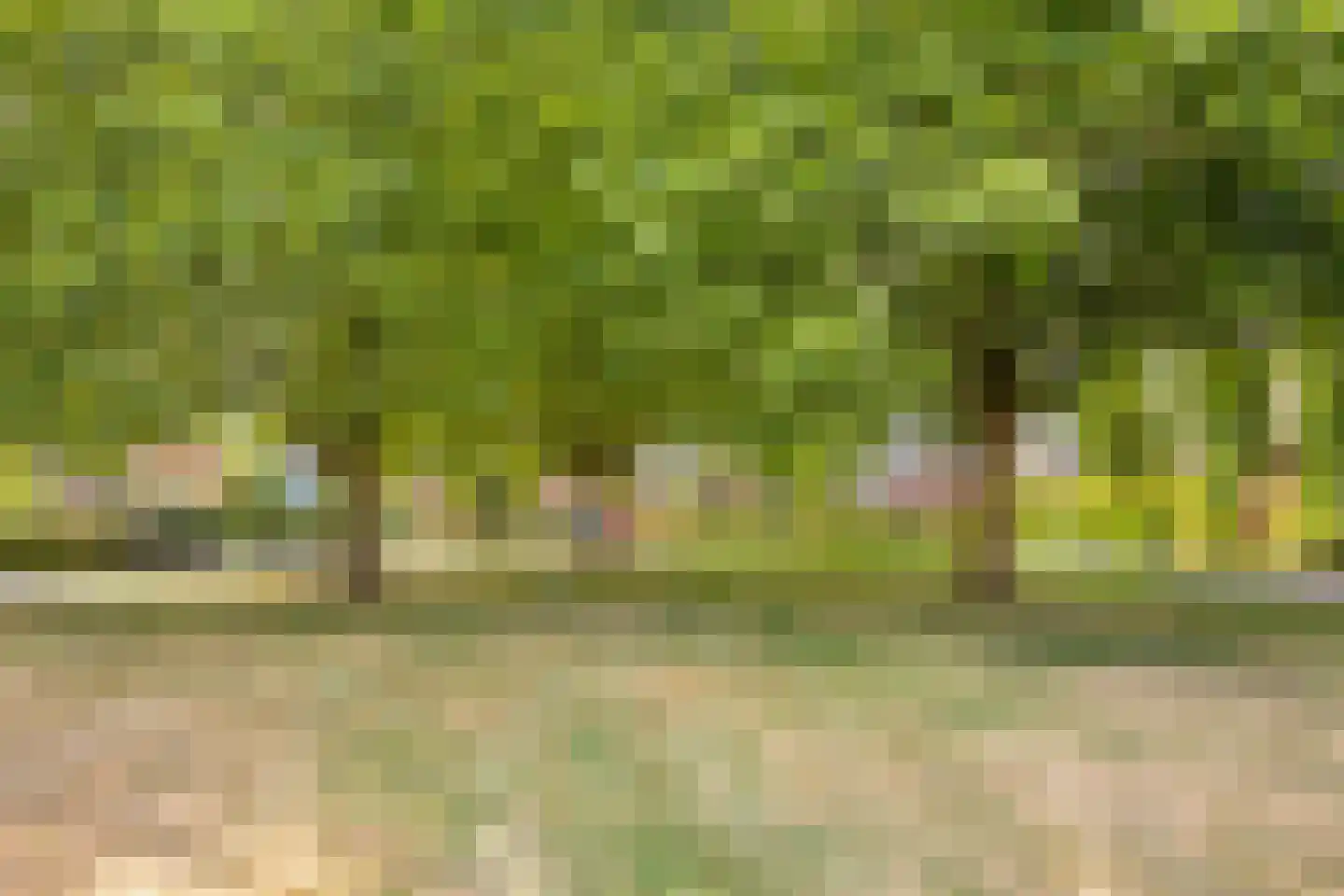 Platanenlaan 56 Renswoude thumbnail 42