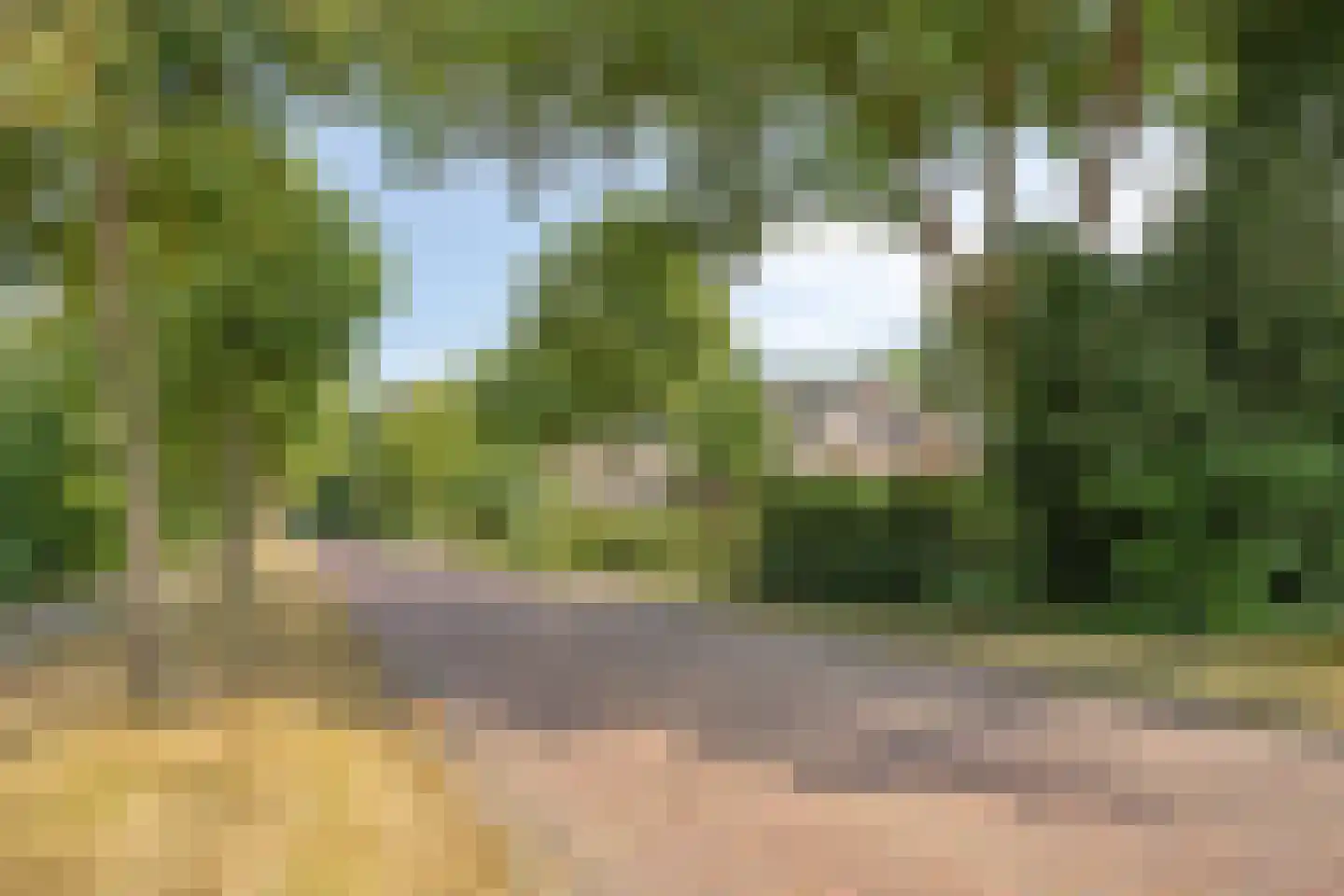 Platanenlaan 56 Renswoude thumbnail 44