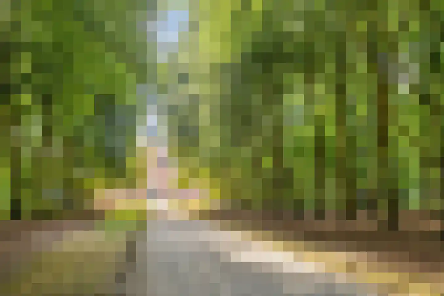 Platanenlaan 56 Renswoude thumbnail 45