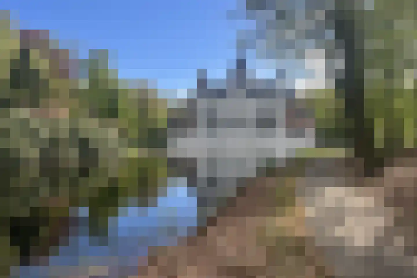 Platanenlaan 56 Renswoude thumbnail 46