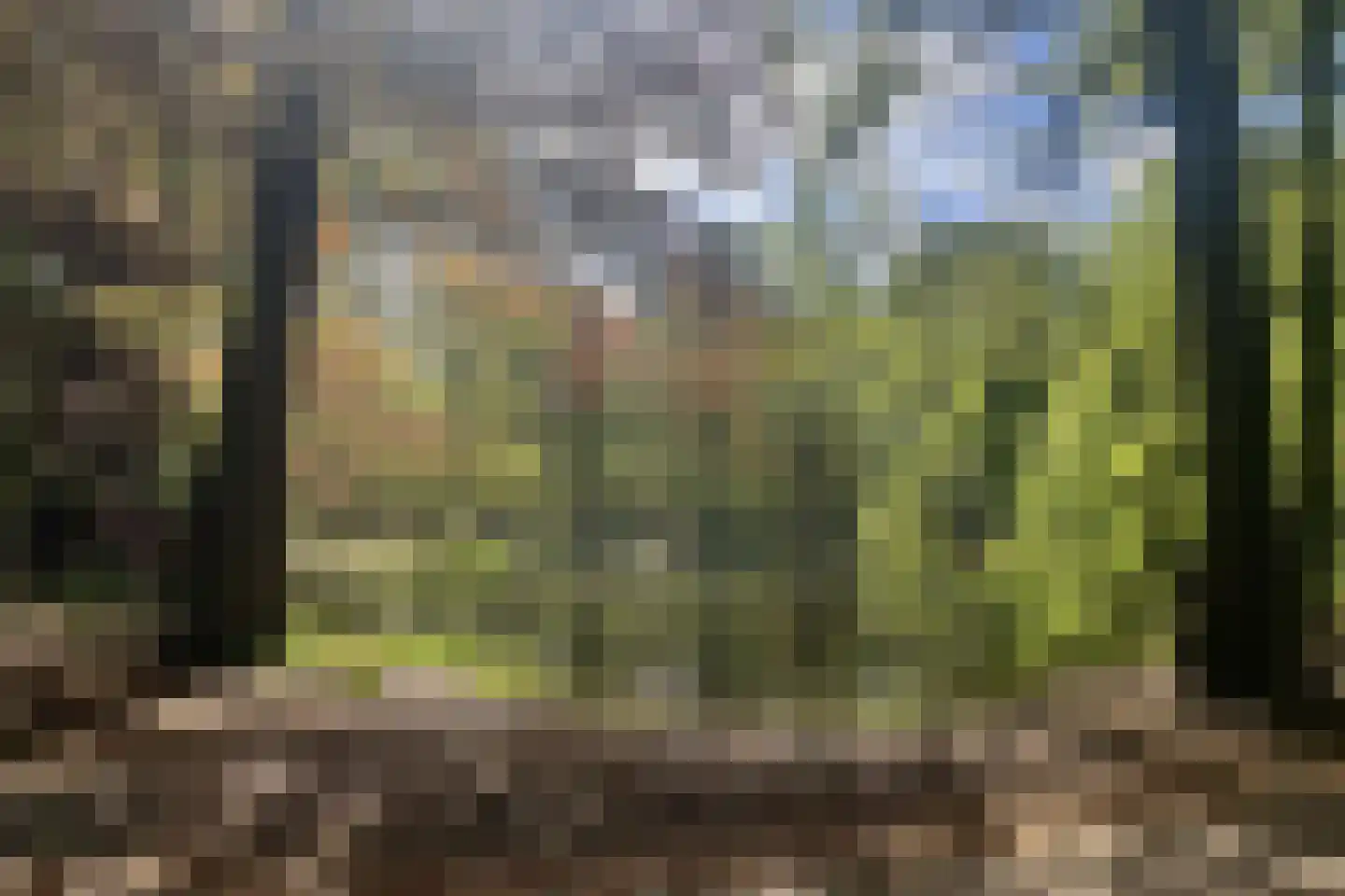 Platanenlaan 56 Renswoude thumbnail 47