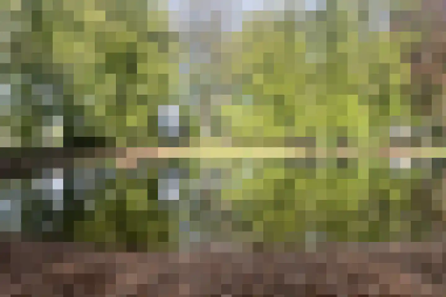 Platanenlaan 56 Renswoude thumbnail 48